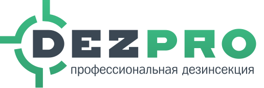 Служба по дезинфекции, дезинсекции и дератизации в Екатеринбурге DezPro